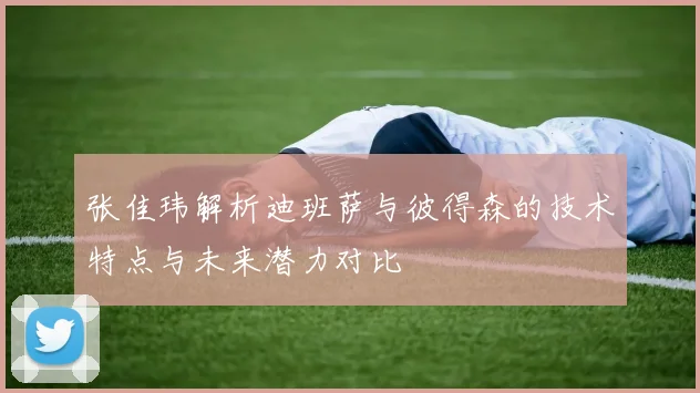张佳玮解析迪班萨与彼得森的技术特点与未来潜力对比