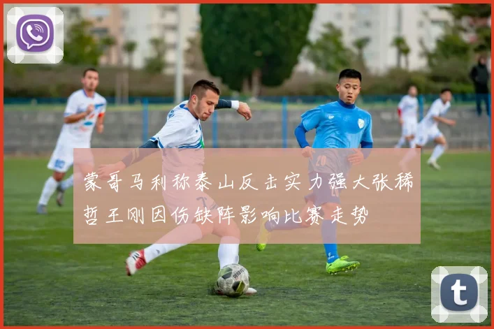 蒙哥马利称泰山反击实力强大张稀哲王刚因伤缺阵影响比赛走势