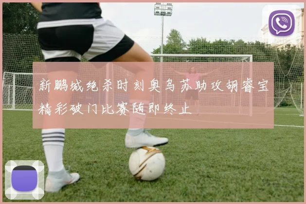 新鹏城绝杀时刻奥乌苏助攻胡睿宝精彩破门比赛随即终止